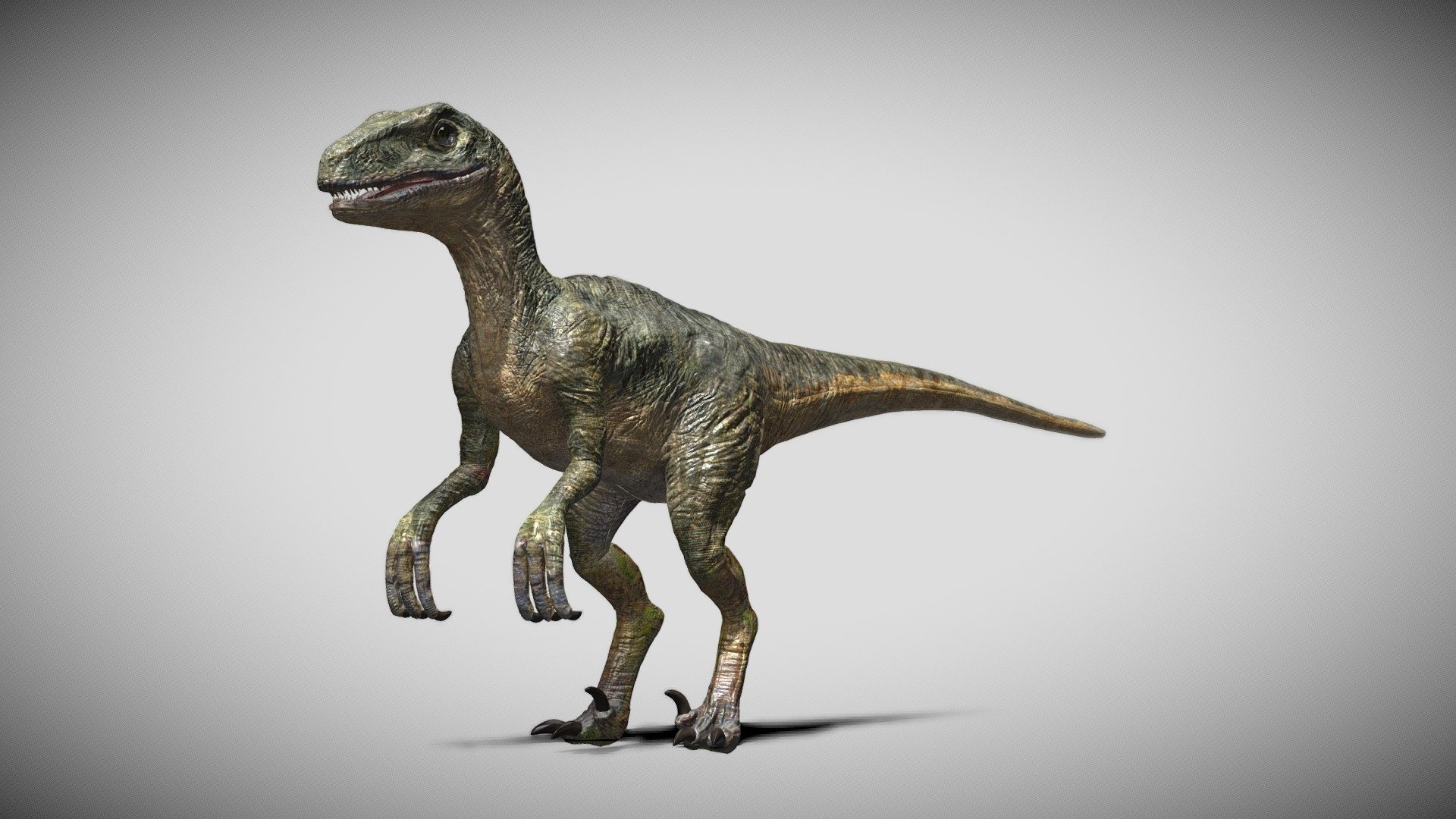 Velociraptor Rigged 3d Model 3d Model By A01024704775 1fd7a1c 