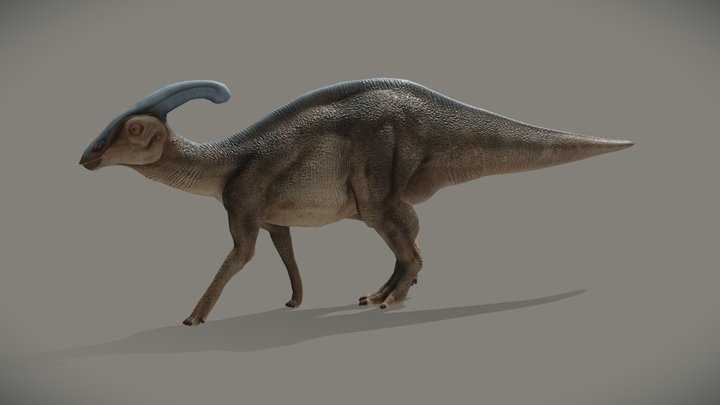 Parasaurolophus Walkeri 3D Model
