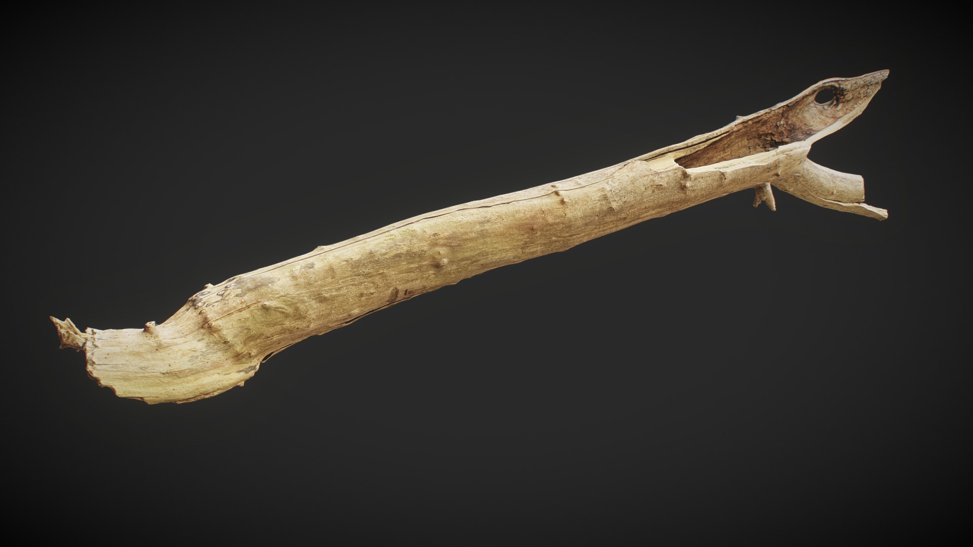 3D model Barkless-wood 01 free - This is a 3D model of the Barkless-wood 01 free. The 3D model is about a lizard with a long tail.