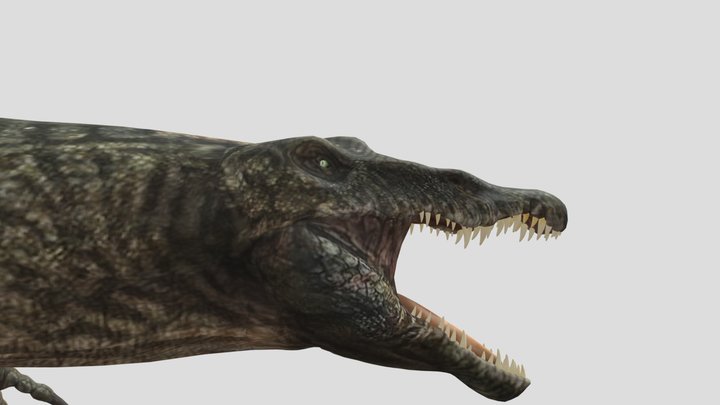 AGN’s jwr spinosaurus 3D Model