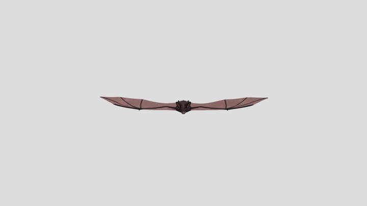 Bat Animacion V04 3D Model