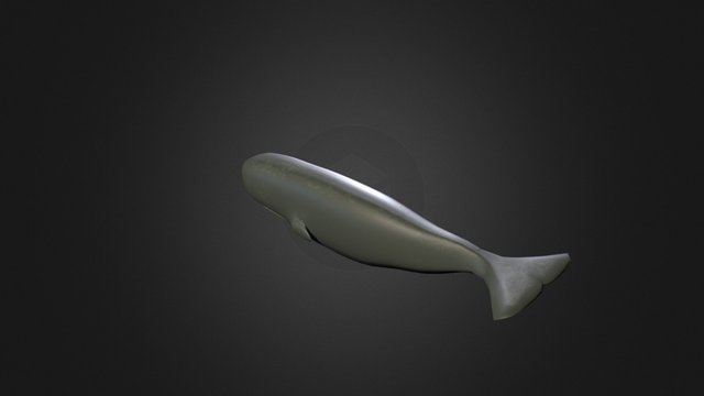 Whale 3D Model