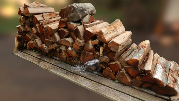 N013 Wood Logs - Free version 3D Model