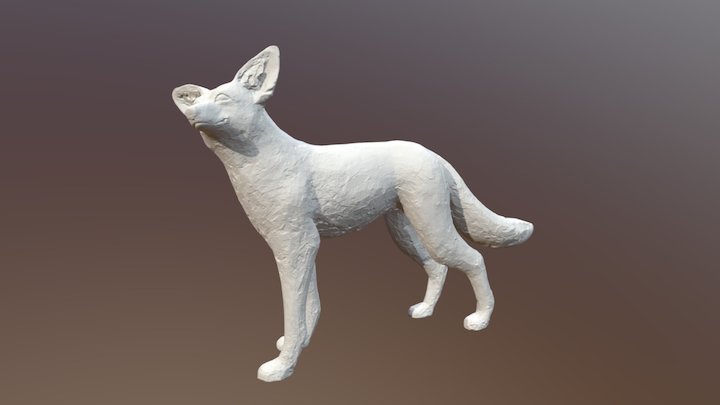 Tricksters Plan, Gips-Kojote, 3D-Scan 17-06-07 3D Model