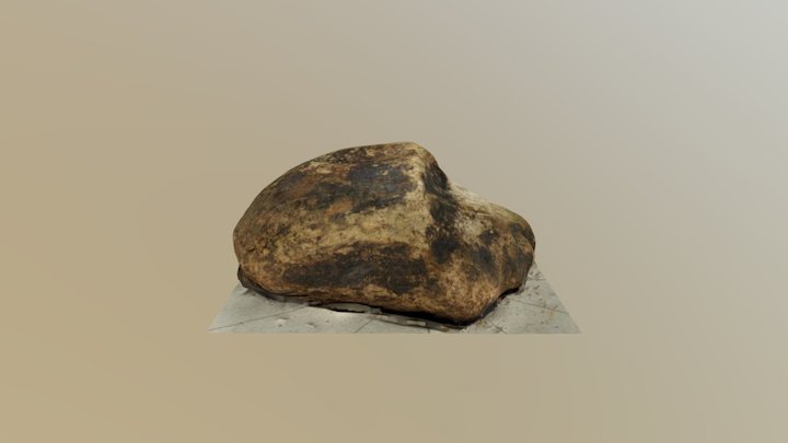 Afterlee Fossil Wood 03 3D Model