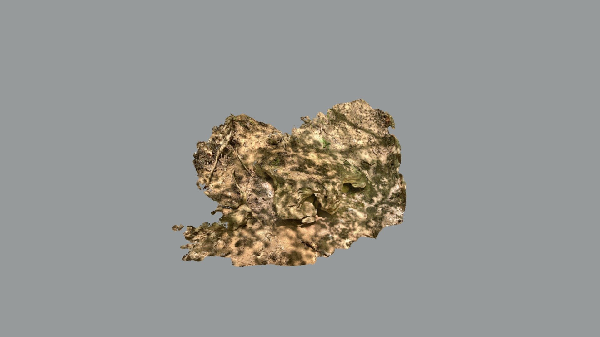 outcrop scaniverse