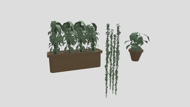 Low Poly Wall Vines, Potted Plant and Plant Box 3D Model