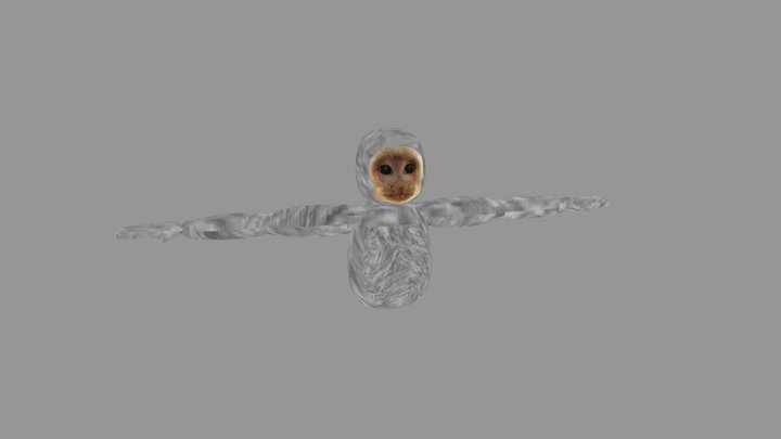 V1 capuchin rig 3D Model