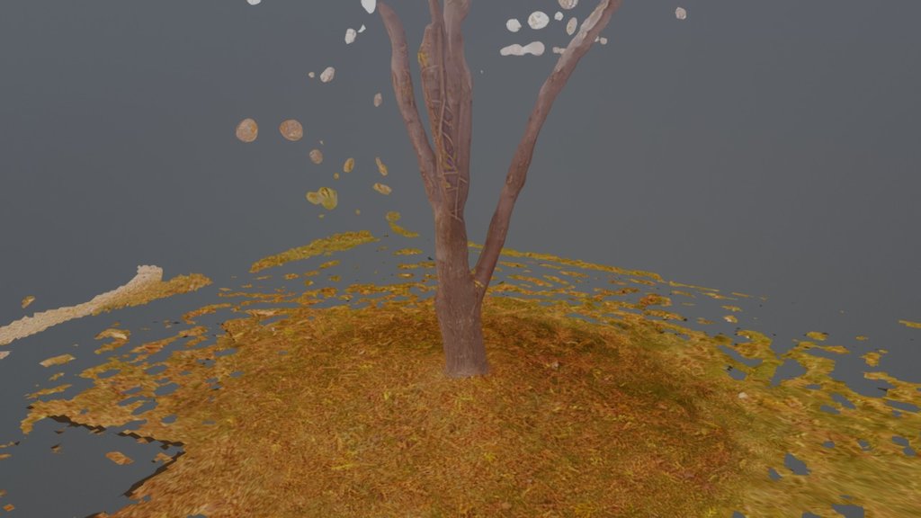 Tree Test of 3DF Zephyr
