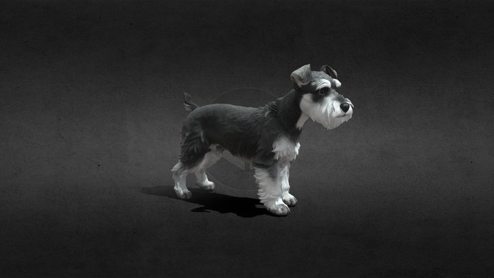 Dog (Schnauzer)，Available for 3D printing. 3D Model