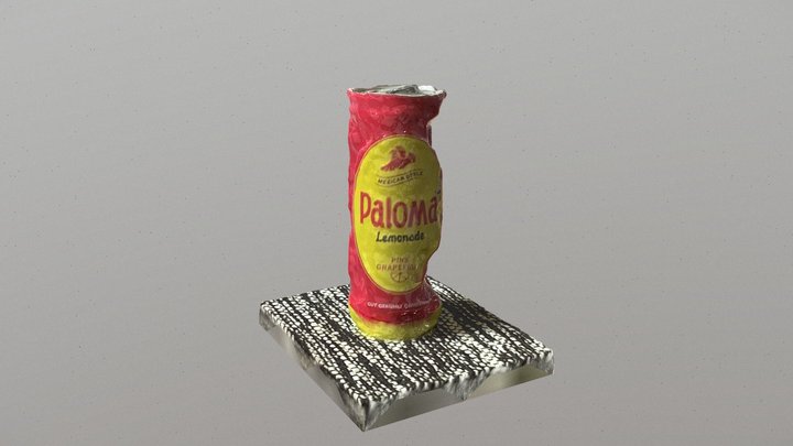 Poor Realityscan 3D Model