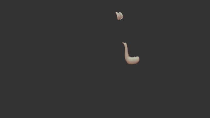 cat ears free customizable for minecraft 3D Model