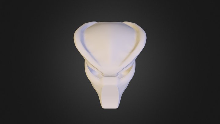 pred2 3D Model
