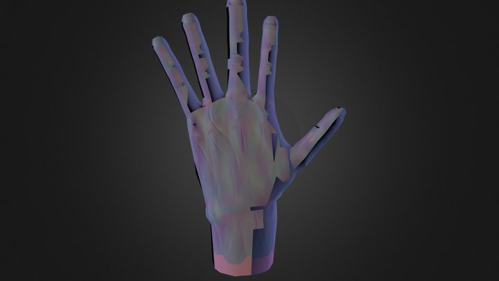 ManoTexture 3D Model