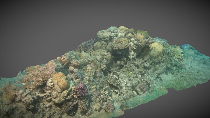 Coral Block Lighthouse 3D Model