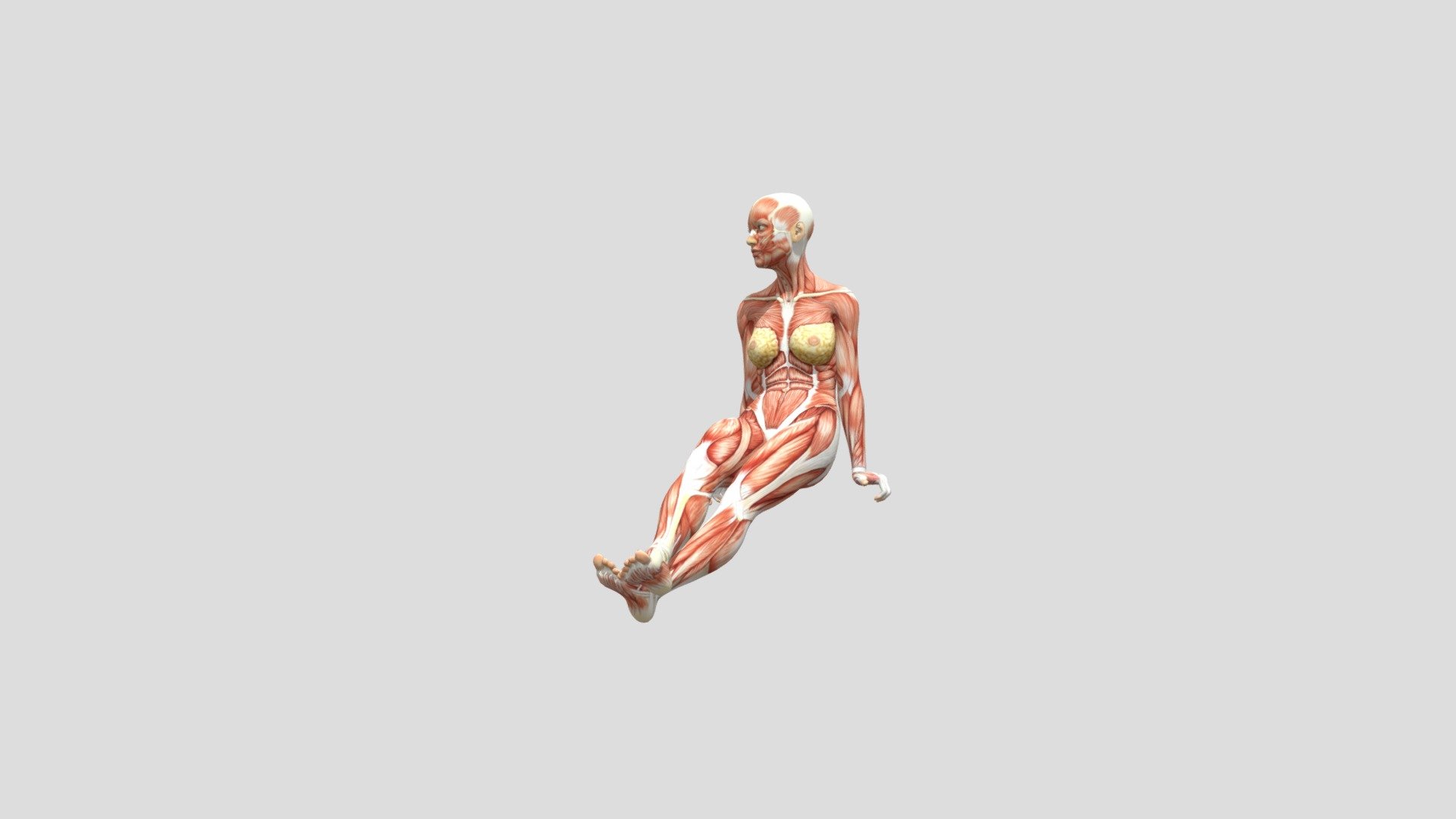 Seated 01