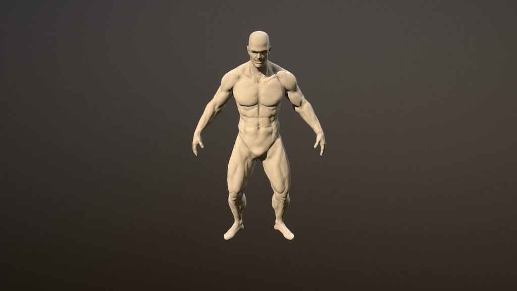 Body WIP