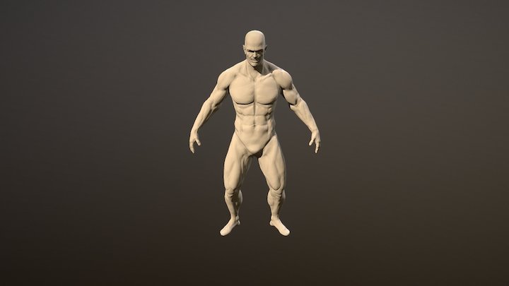Body WIP 3D Model