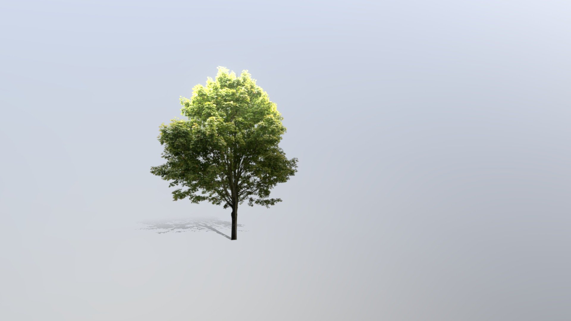 2d tree Download Free 3D model by Pixel_Monster (ar.jethin) [2011e55