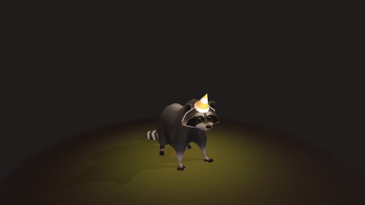 Raccoon Cycles 3D Model