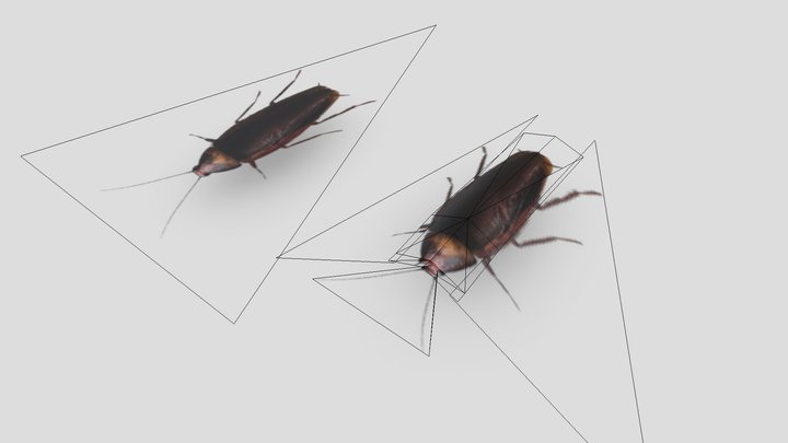 low poly cockroach 3D Model