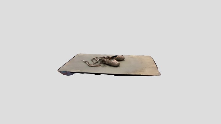 Pointe Shoes 3D Model