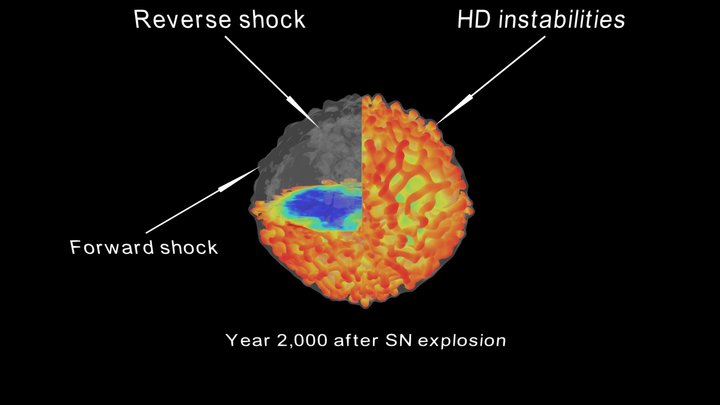 Asymmetric supernova remnant density profile 3D Model