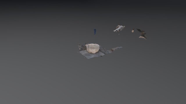 Model 3D Model
