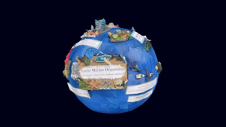 Large Marine Animals 3D Model