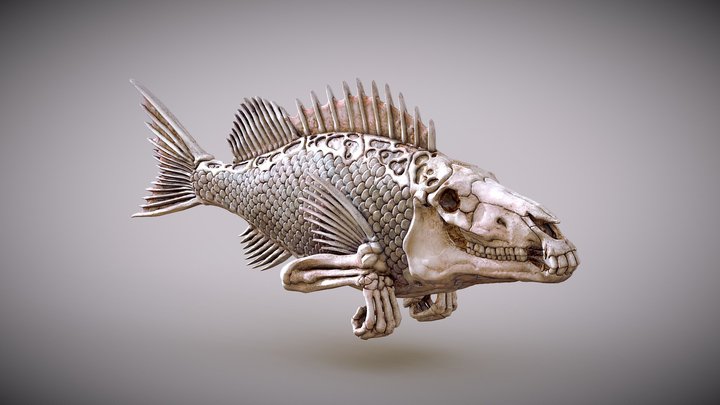 FISHHead2 3D Model