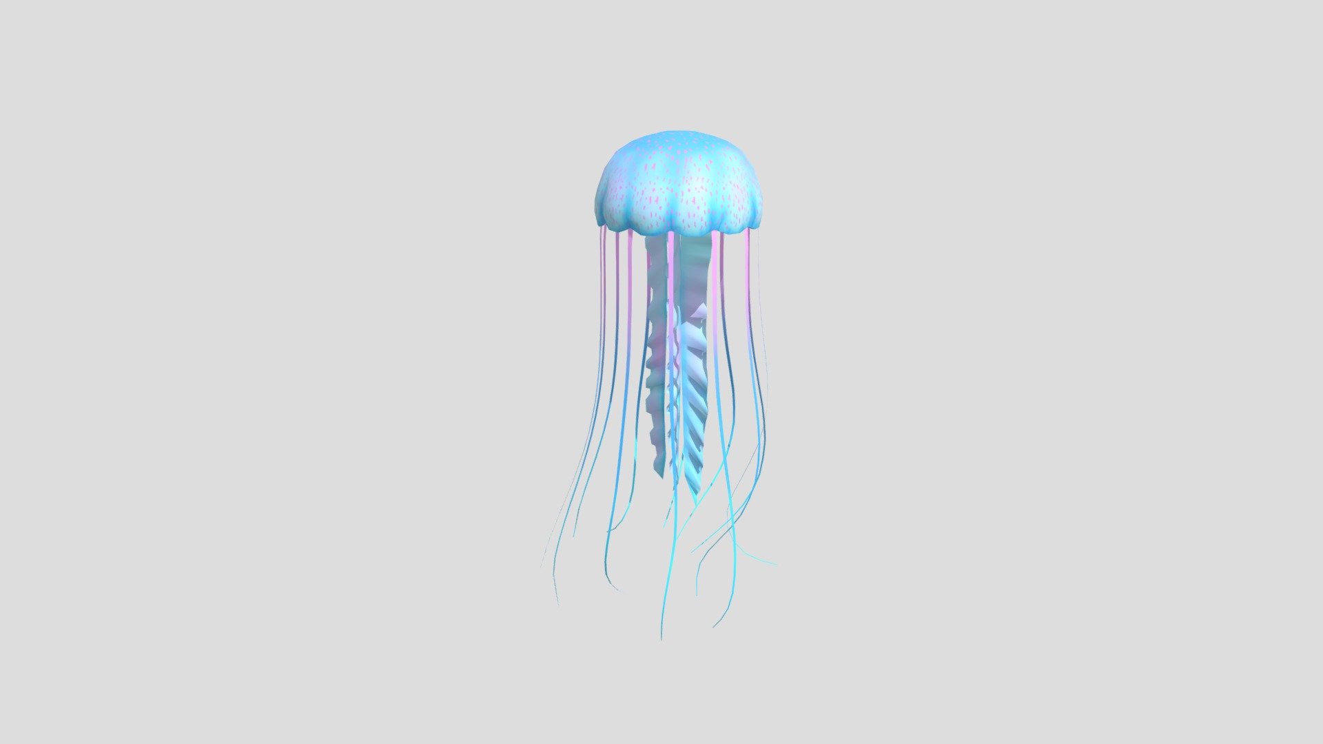Jellyfish
