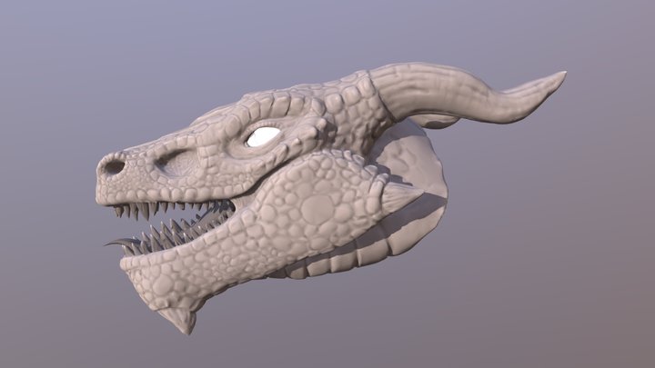 Dragon head sculpt 3D Model