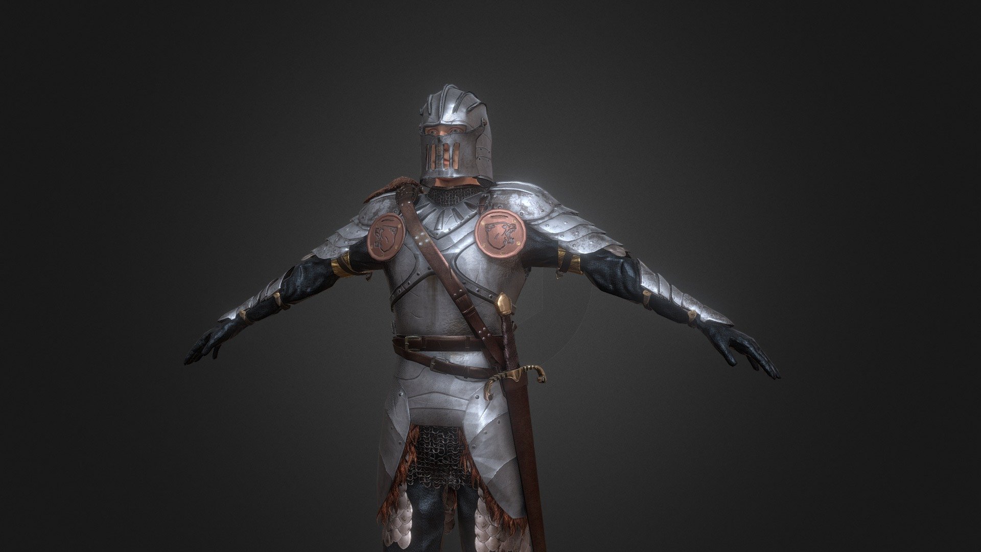 Knight / Warrior