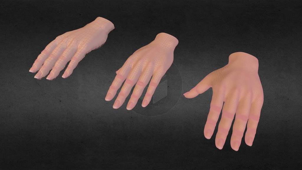 A hand 3D model by dazhazit (dazhazit) [202b3bb