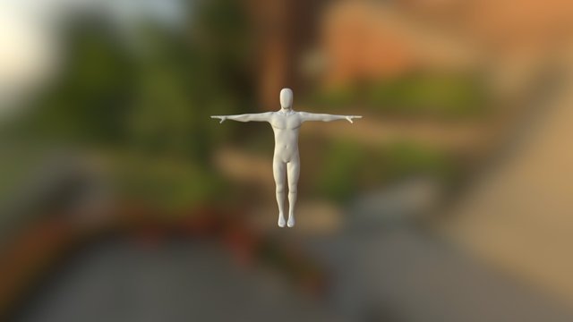 Basic Human Mesh 3D Model