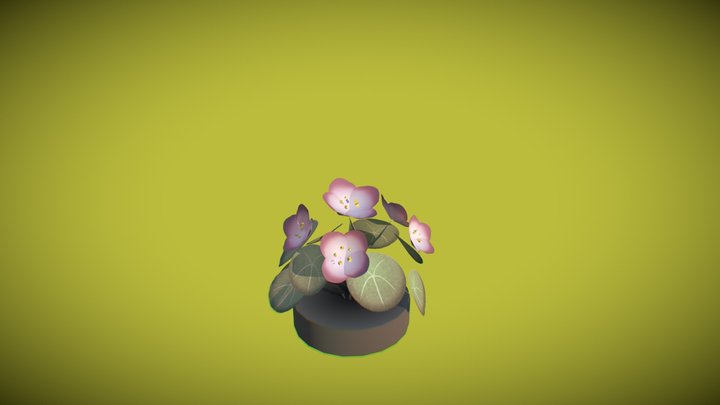 flower_20190615 3D Model