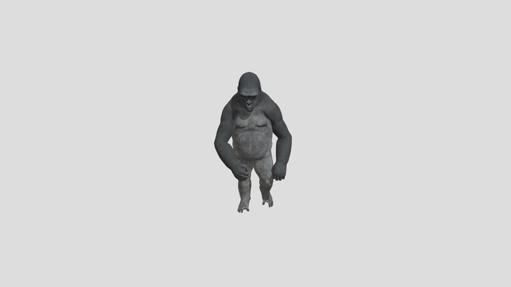 Gorilla- Test