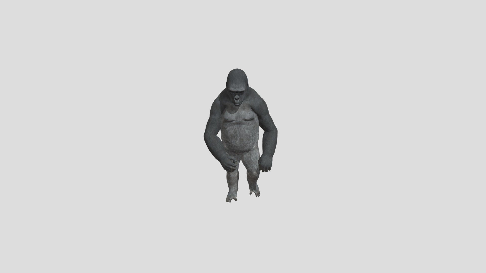 Gorilla- Test