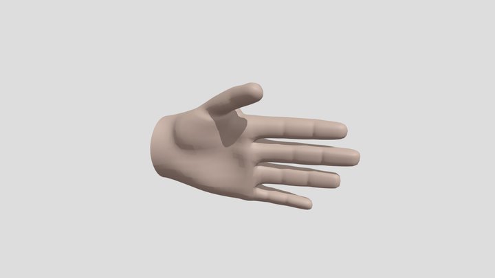 Hand with fingernails 3D Model