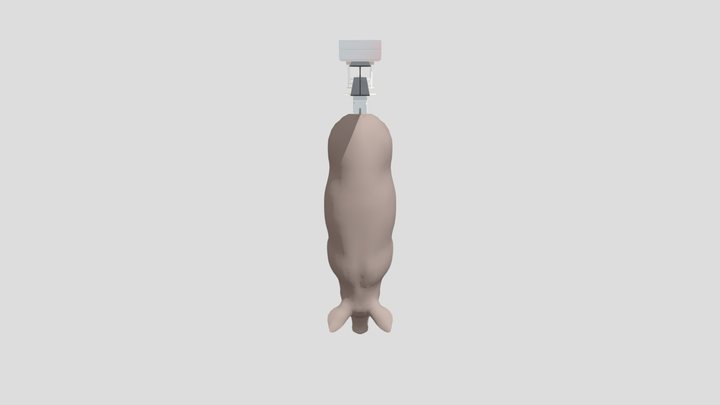 VAM 3D Model