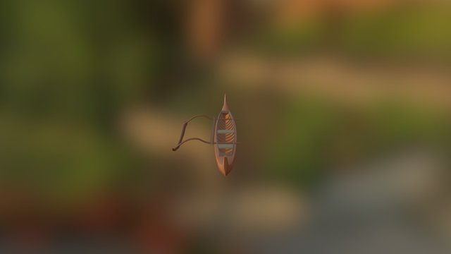 Va'a polynésien 3D Model