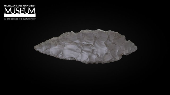 Turkey Tail Projectile Point 3D Model