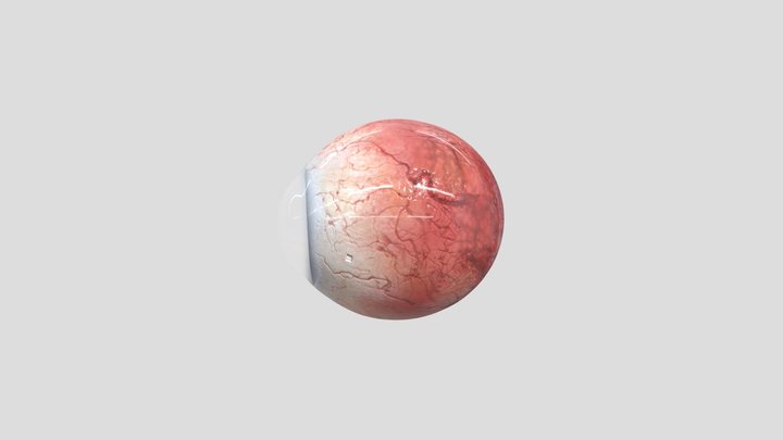 Eye 3D Model
