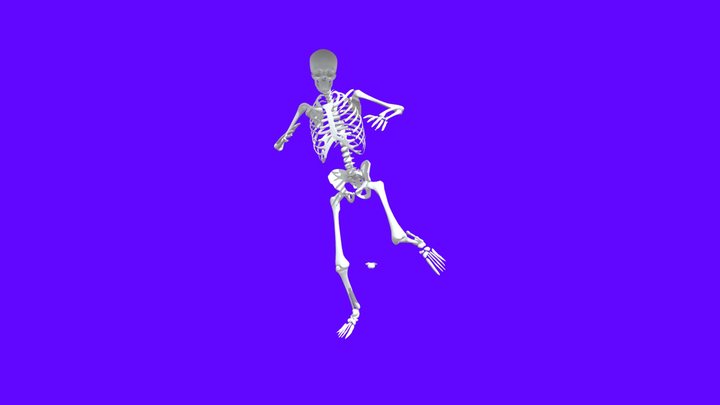 skelet Rigged 3D Model