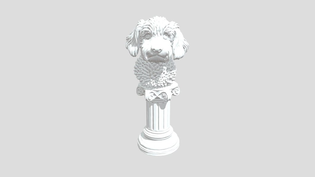 Labradoodle on Plinth
