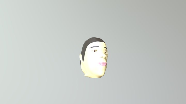 Color Finish 3D Model