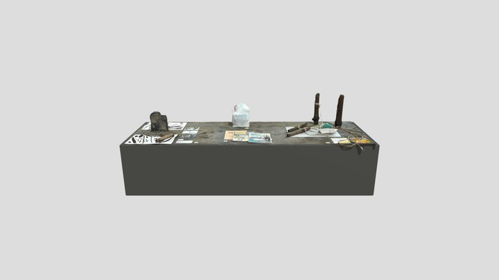 Danube Wetlands Scan Reference Table 1 3D Model