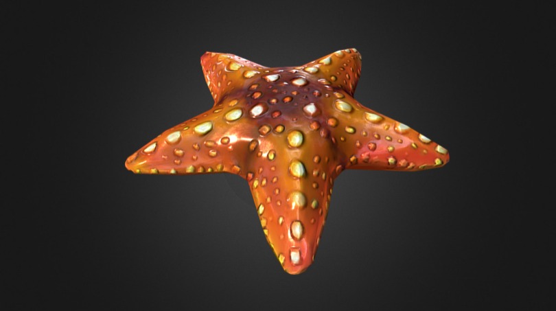 Starfish Baking Tutorial