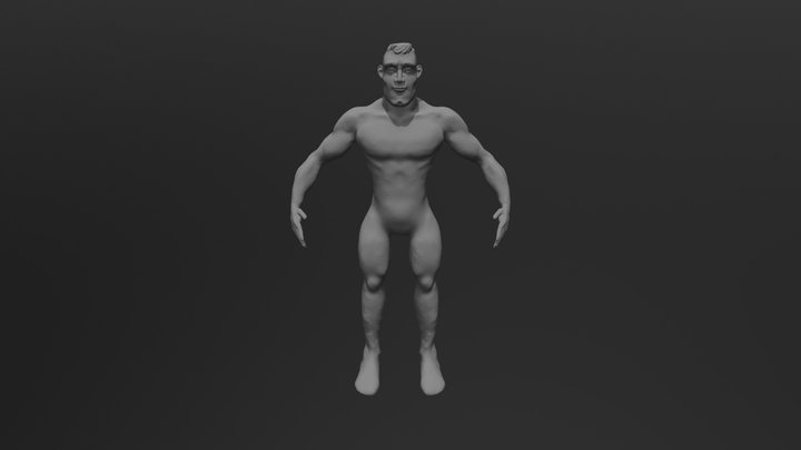 Anatomy Sculpture 3D Model