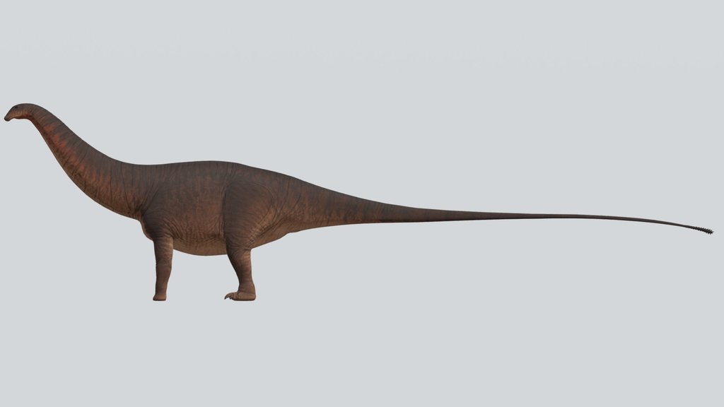 Accurate Apatosaurus
